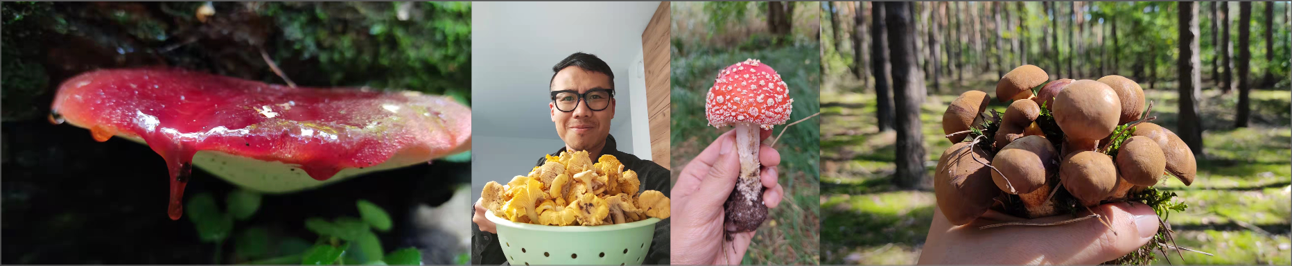 CleanShot 2021-12-30 at 10.13.13@2x.png